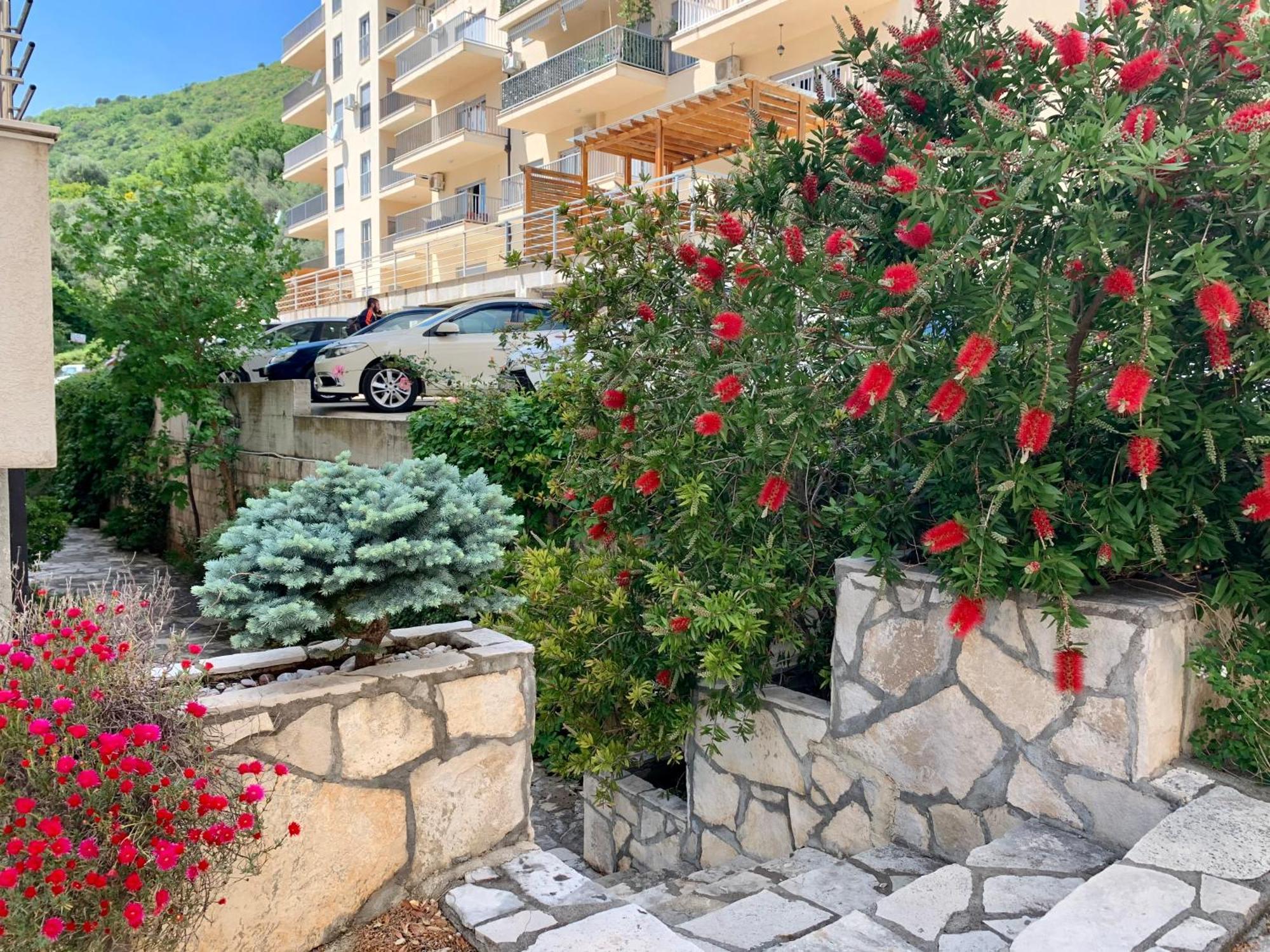 Best View Apartment Petrovac Eksteriør bilde